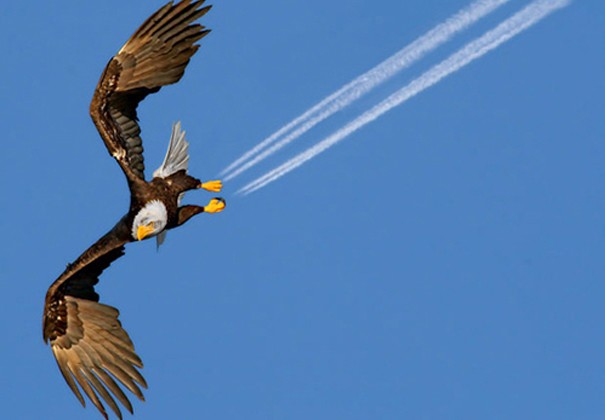 Kartal Jet!!!