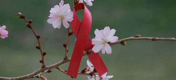 8- AIDS virüsünün kökeni
