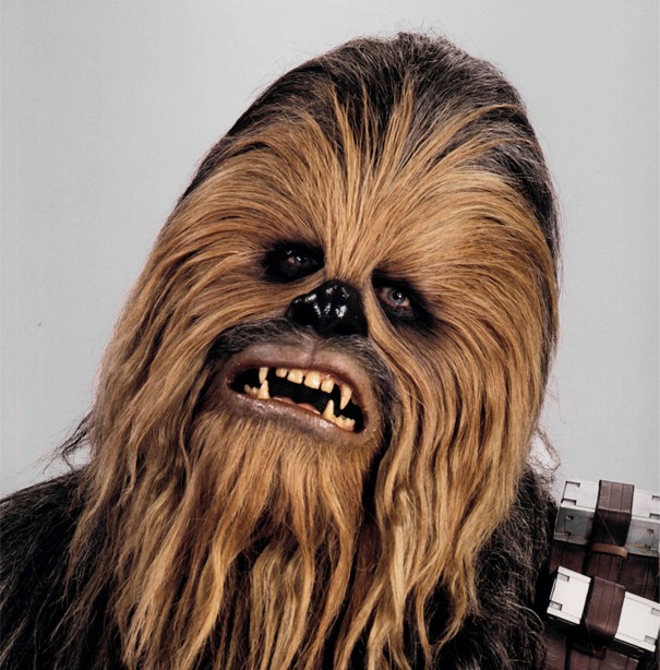 Chewbacca'nın ilham kaynağı
