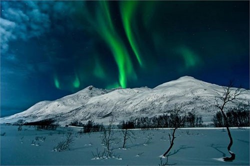 Norveç
