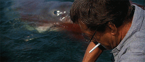 Jaws