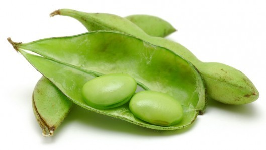 Soya
