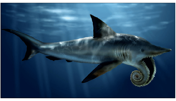 Helicoprion