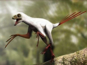 Epidexipteryx