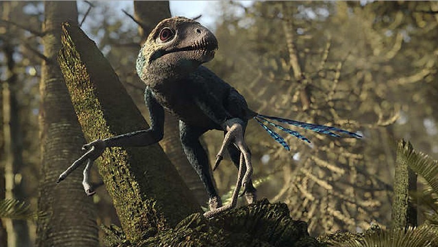 Epidendrosaurus