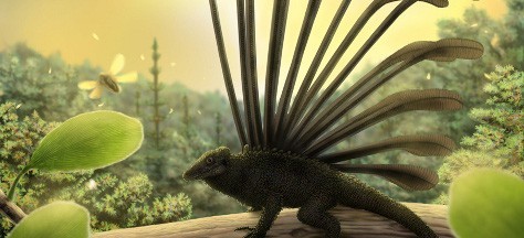 Longisquama