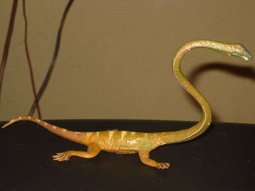 Tanystropheus