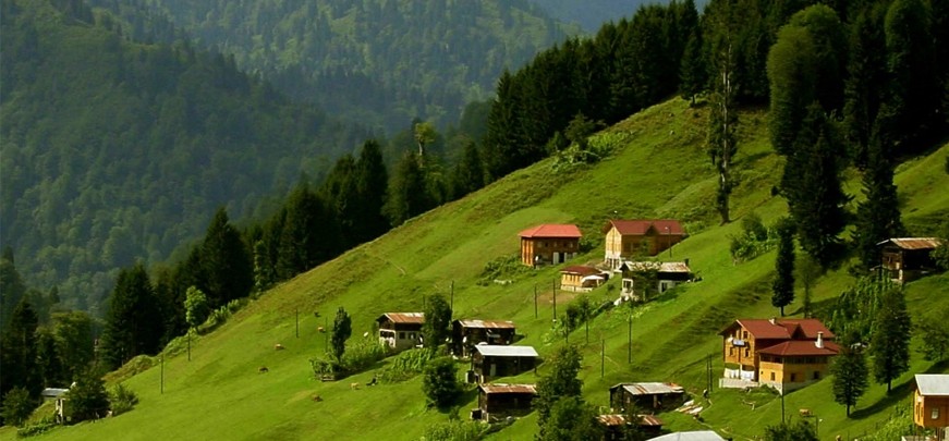 YAYLALARI