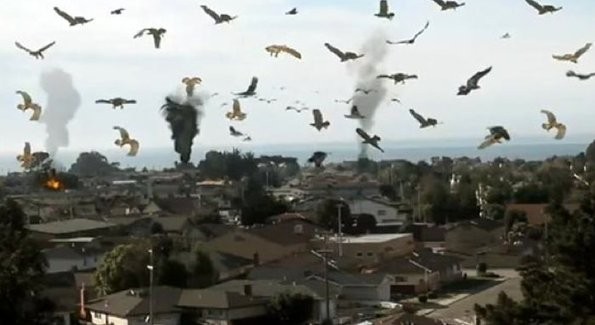 3. Birdemic: Shock and Terror (2010) - İMDB Puanı: 1.8
