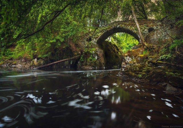 18 - Tollymore, İngiltere