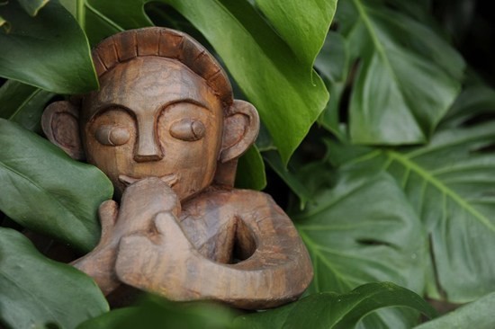 13- Menehuneler (Hawaii)