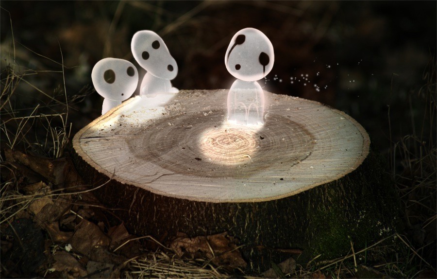 5- Kodama (Japonya)
