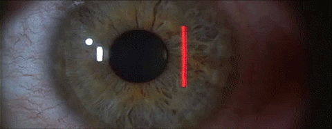 1- Retina görüntüyü ters olarak alır ve beyniniz bu görüntüyü sizin için çevirir.