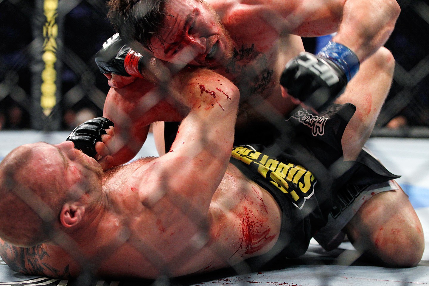 MMA (MİXED MARTİAL ARTS)