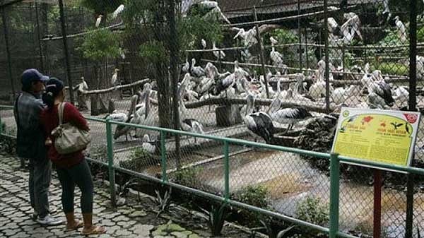 Burada kelimenin tam anlamıyla bir vahşet yaşanıyor.