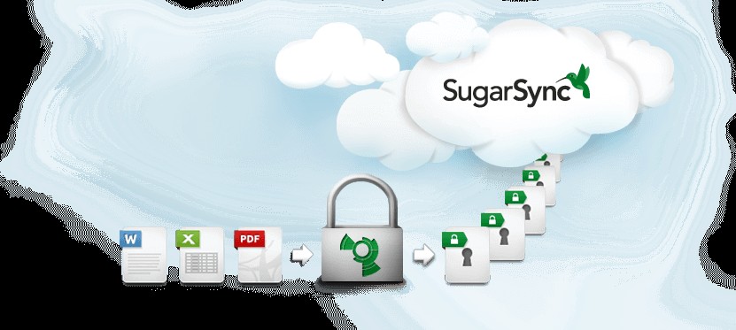 10- Sugar Sync: