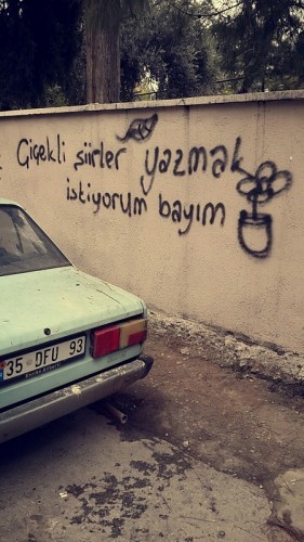 Bayım?