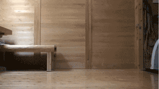 O Mükemmel Yürüyüşleri İçin Çok Fazla Pratik Yapmışlardır