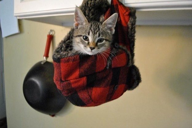 Şapka Seçimleri Genelde Çok İyidir