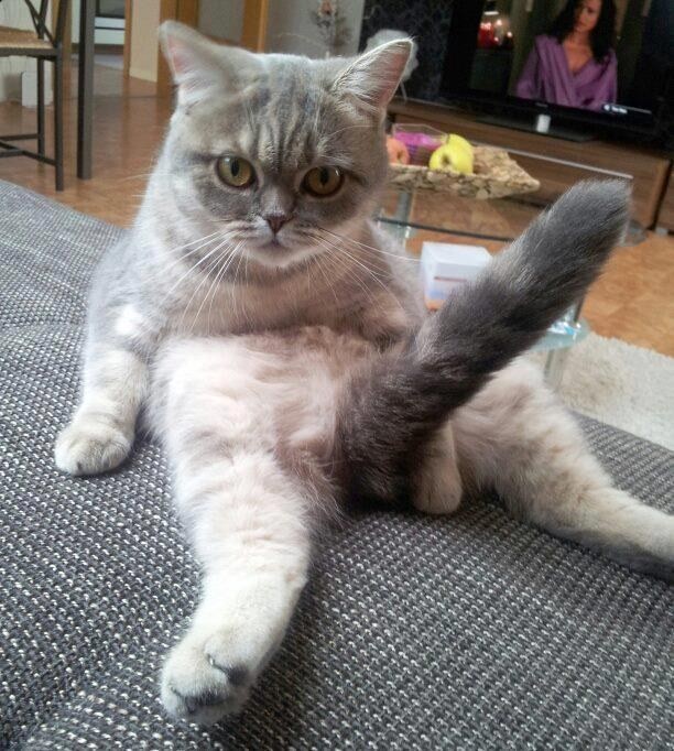 Kendilerine Güvenirler ve Vücutlarını Severler