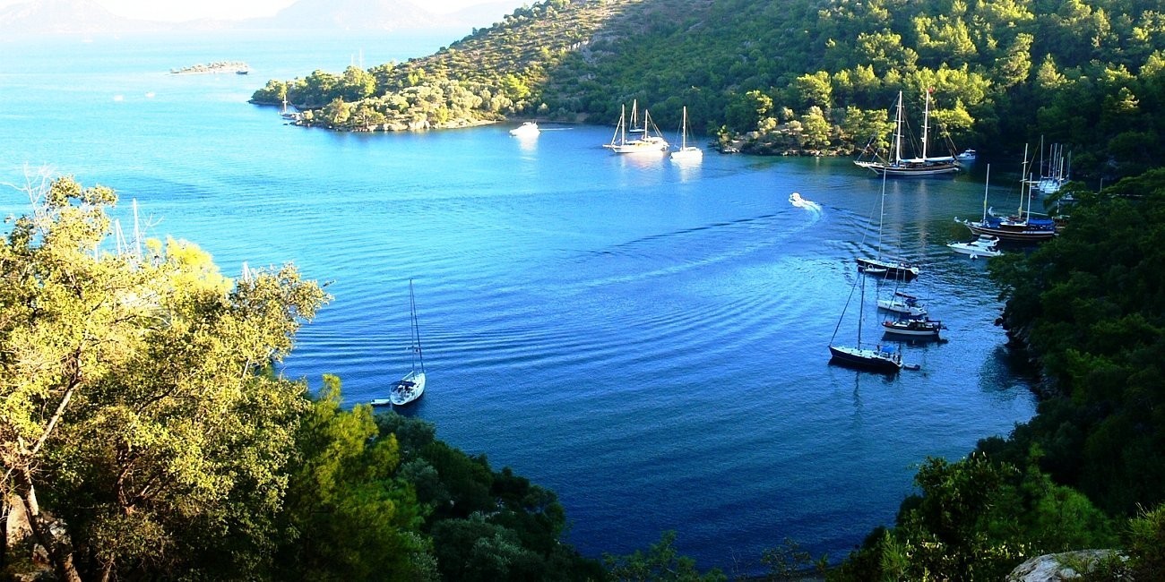 Katrancı