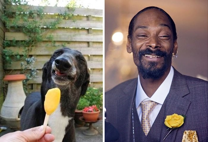 Snoop Dogg