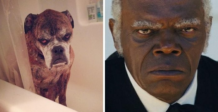Samuel L. Jackson
