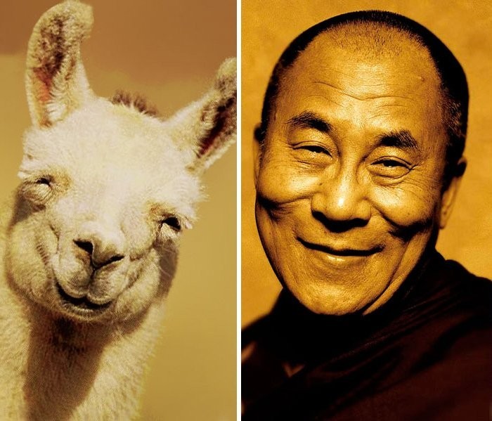 Lama ve Dalai Lama
