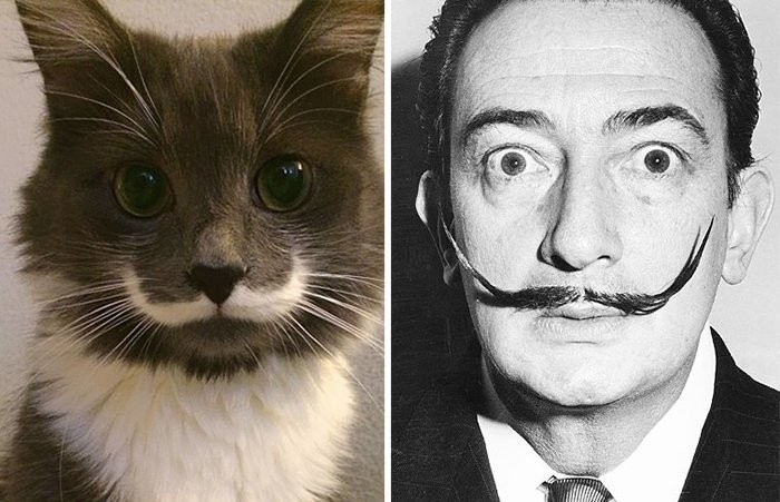 Salvador Dali