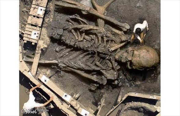 Dev Kavim İskeleti