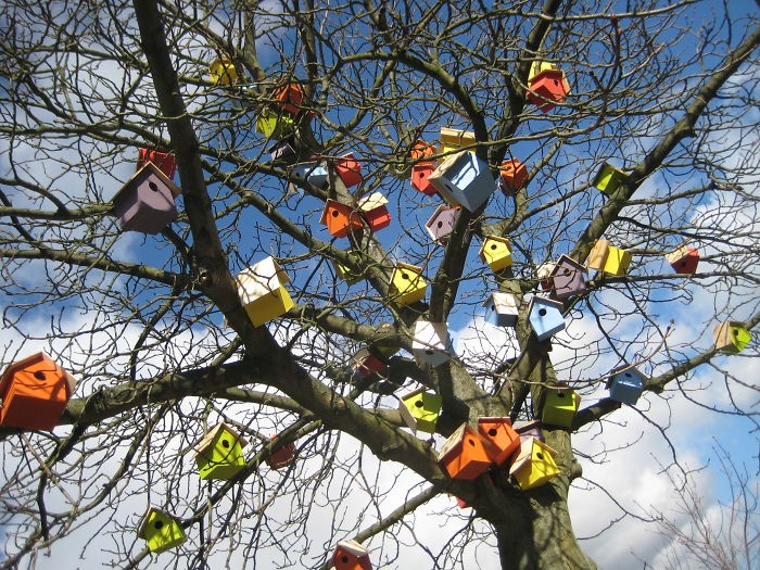 Bir ağaca yerleştirilmiş evler