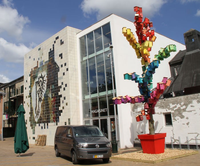 Mutlu Kuş Projesi: Tek ağaçta 300 kuş evi var burada :)