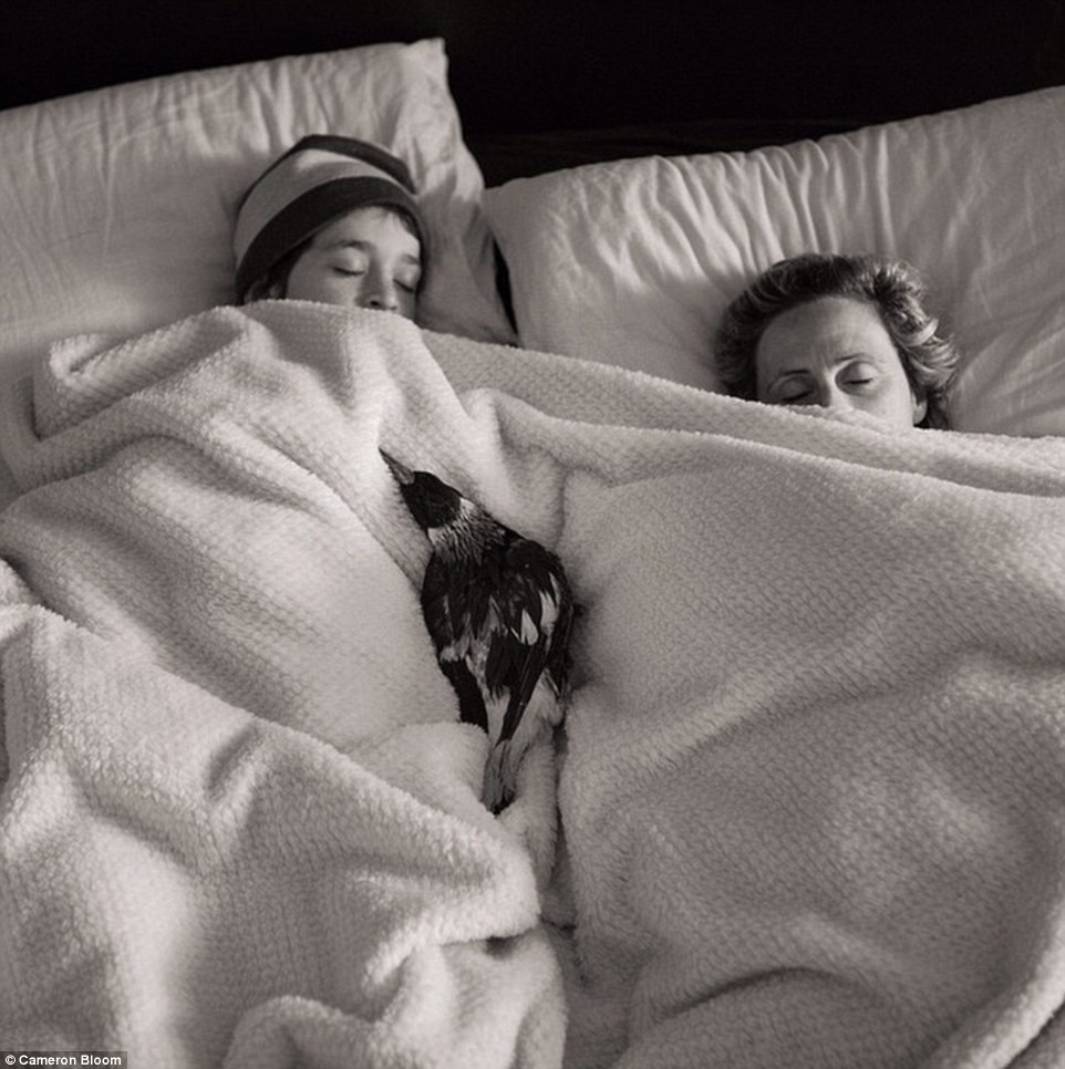 Sabah uyandırma servisi :)