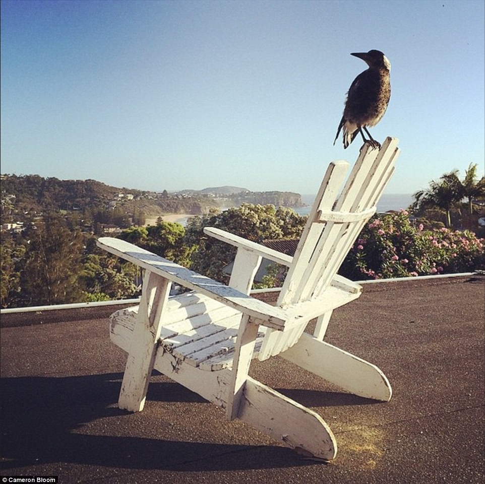 Kuşumuzun şu korumasız hallerinden aile fertlerine ne kadar güvendiğini anlıyoruz