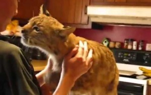 Bu sevginin tarifi yok