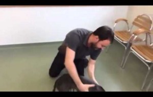 Aylardır Kayıp Olan Köpeğin Sahibiyle Karşılaşınca Yaşadığı Sevinç 