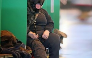 Mükemmel zamanlamayla çekilen fotoğraflar