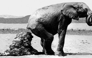 Tarihteki en garip ölümler