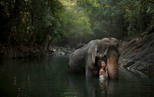 Doğaya olan aşkınızı kabartacak 10 fotoğraf