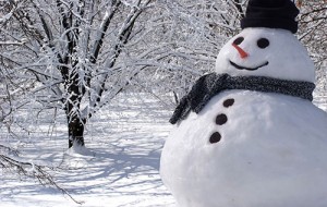 Kardan adamlar hakkında pek bilinmeyen 5 gerçek