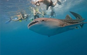 Maceraseverler için mutlaka yaşaması gereken deneyimler 21 ilginç deneyim