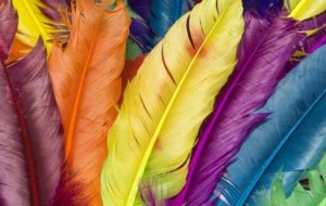 En Çok Kullanılan Renkler ve Psikolojimize Etkileri