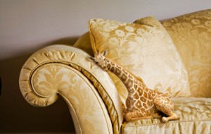 Minyatür Cep Zürafaları