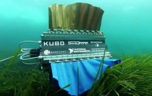 Mürekkep Balığı Görünümlü Robot