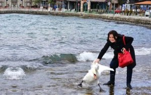 Fotoğraf Çektirmek İçin Kuğuyu Öldürdü