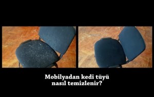 Mobilya'dan Kedi - Köpek Tüyü Nasıl Temizlenir?