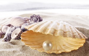 Denizin güzel hediyesi İstiridye İnci