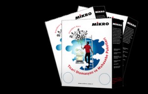 Mikro Bayilerinin Seçerken Dikkat Edilmesi Gereken Unsurlar