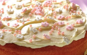 Nefis Bir Vanilyalı Kek Tarifi