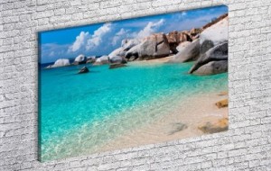 Ağaç Dalı ve Sahil Kanvas Tablolar